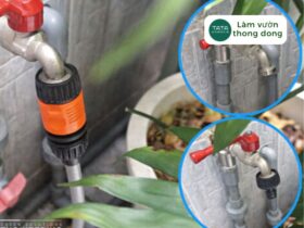 Tổng hợp đầu nối vòi nước của hãng Claber mới nhất