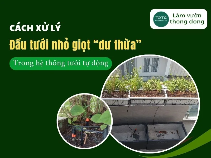 3 cách xử lý đầu tưới nhỏ giọt “dư thừa” trong hệ thống tưới cây tự động