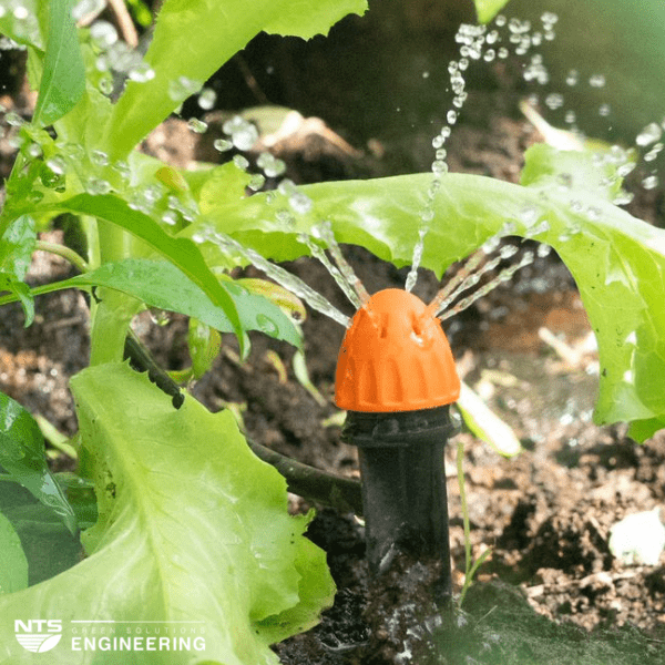 quy trình bảo dưỡng hệ thống tưới