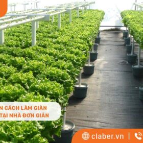 HƯỚNG DẪN CÁCH LÀM GIÀN THỦY CANH TẠI NHÀ ĐƠN GIẢN