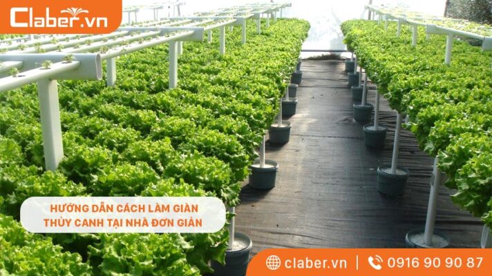 HƯỚNG DẪN CÁCH LÀM GIÀN THỦY CANH TẠI NHÀ ĐƠN GIẢN