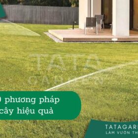 Top 10 phương pháp tưới cây khi vắng nhà hiệu quả