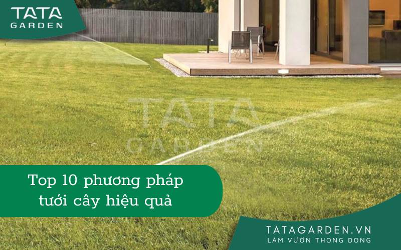 Ảnh bìa phương pháp tưới cây hiệu quả