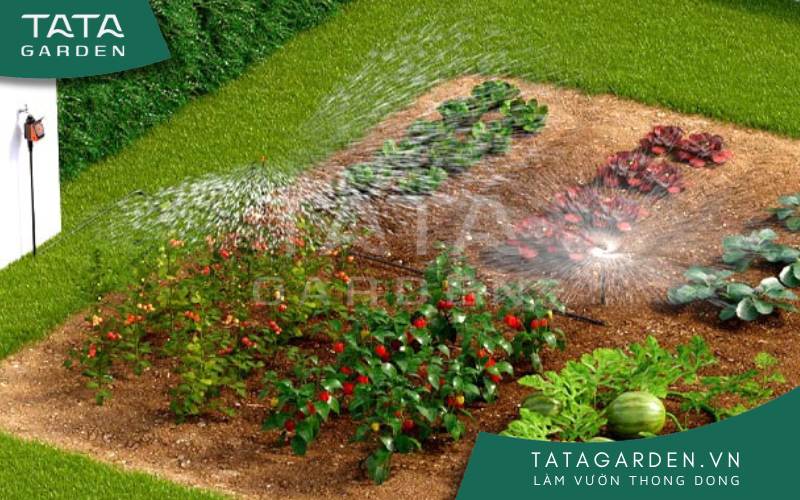 Sử dụng hệ thống tưới tự động tiện lợi