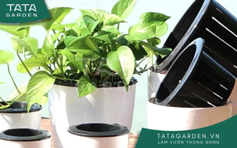 Sử dụng chậu cây tự tưới tiết kiệm thời gian