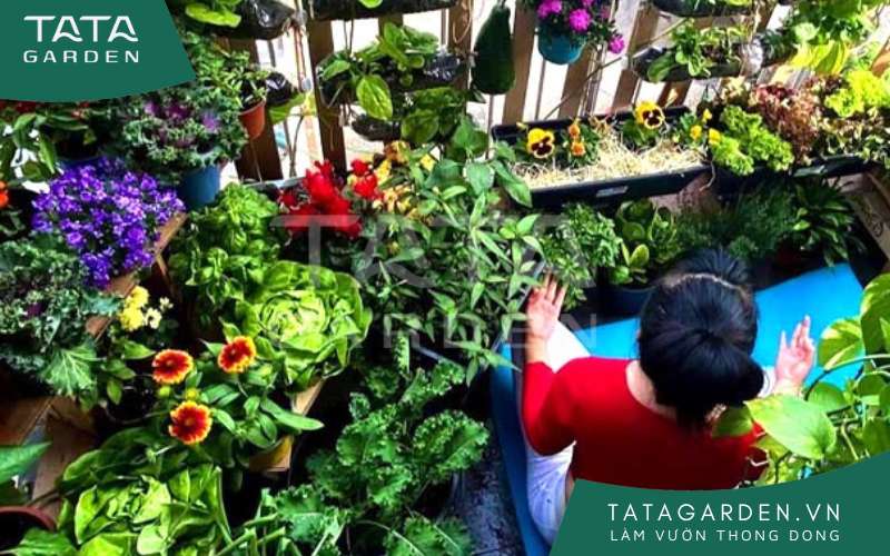 Tổng hợp các nguyên liệu cần chuẩn bị trước khi trồng rau