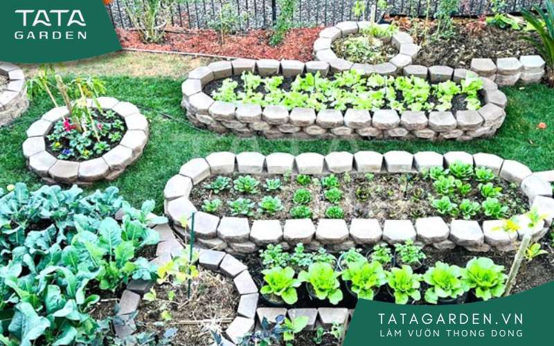 Một khu vườn xinh đẹp ngay tại nhà phố