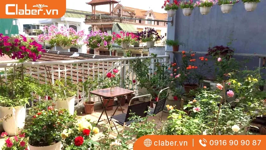 Chọn chậu có lỗ thoát nước