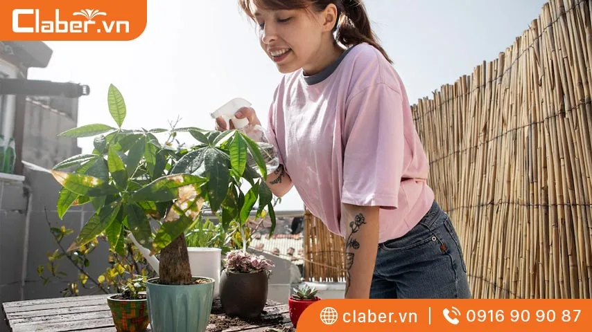 Bón phân định kỳ cho cây