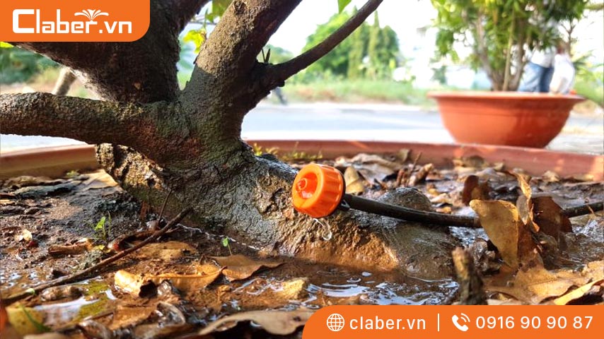 Béc tưới cây bù áp là gì?