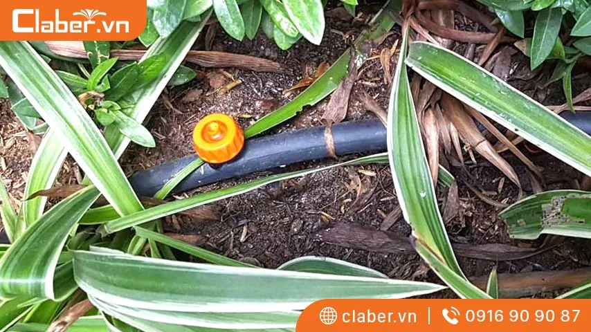 Ưu điểm của béc tưới cây bù áp