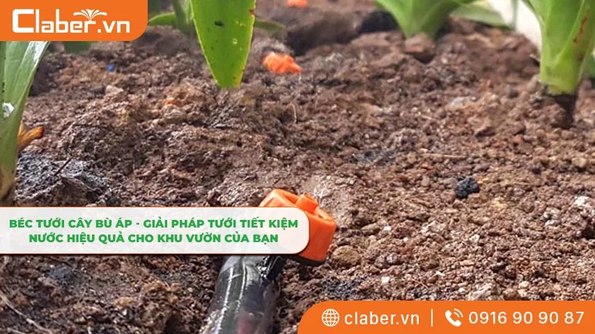 Béc tưới cây bù áp – Giải pháp tưới tiết kiệm nước hiệu quả cho khu vườn của bạn