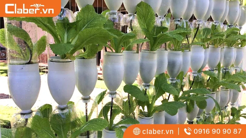 Cách làm chậu tự tưới bằng chai nhựa