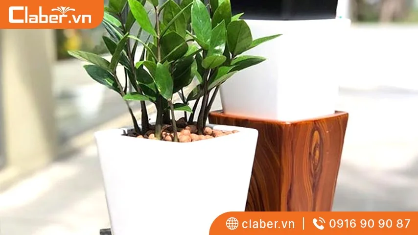 Chậu cây tự dưỡng thông minh