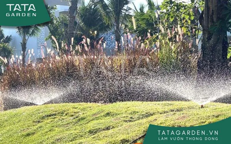 Cách điều chỉnh khoảng cách giữa các béc phun mưa