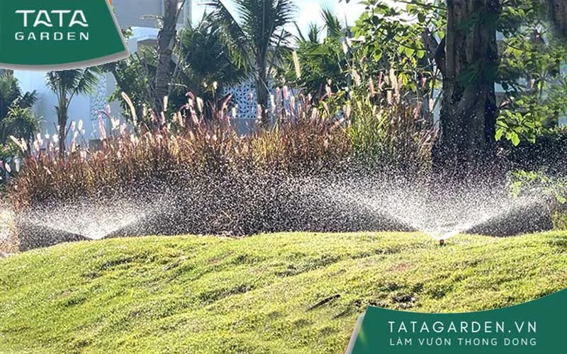 Cây trồng luôn xanh tốt nhờ hệ thống tưới điều khiển từ xa