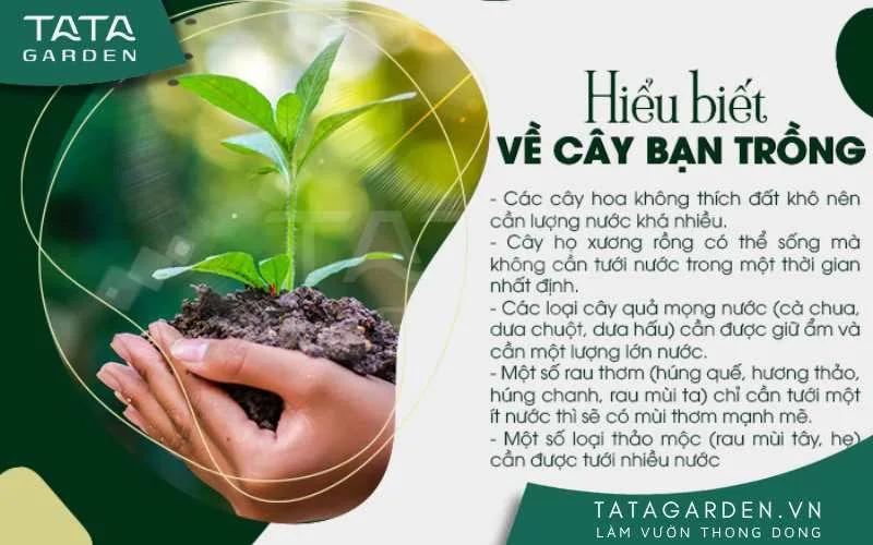 cần có sự hiểu biết về loại cây trồng
