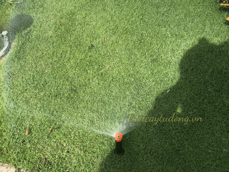 lắp đặt tưới phun mưa