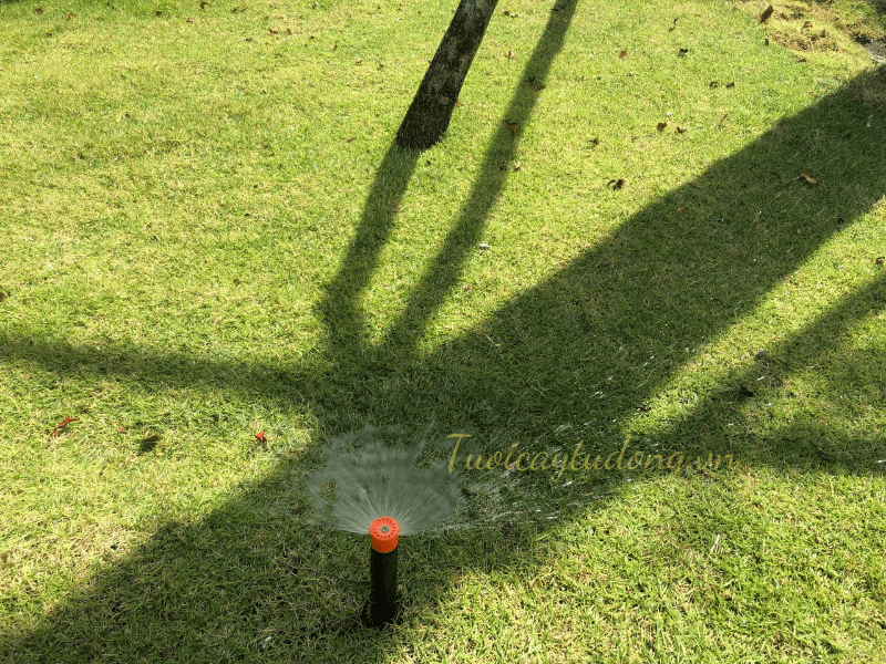 hệ thống tưới cây phun mưa