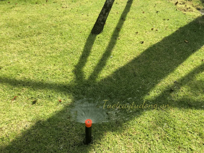 hệ thống tưới cây phun mưa
