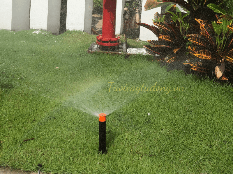 lắp đặt hệ thống tưới cây phun mưa