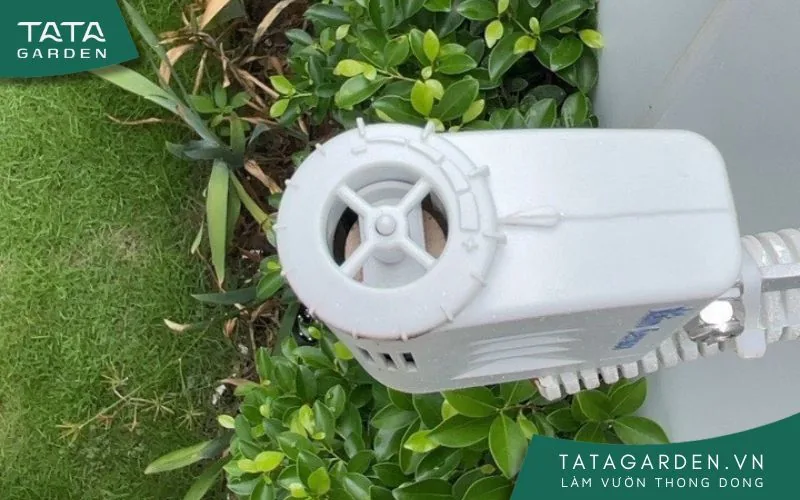 Cảm biến mưa khi nhìn từ trên xuống