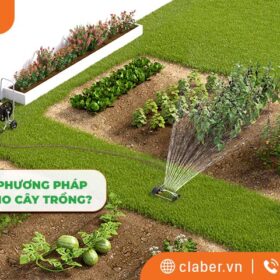 Tổng hợp 4 phương pháp tưới nước cho cây trồng?