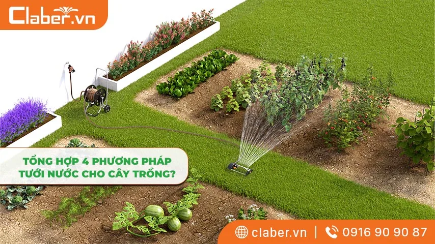 Tổng hợp 4 phương pháp tưới nước cho cây trồng?