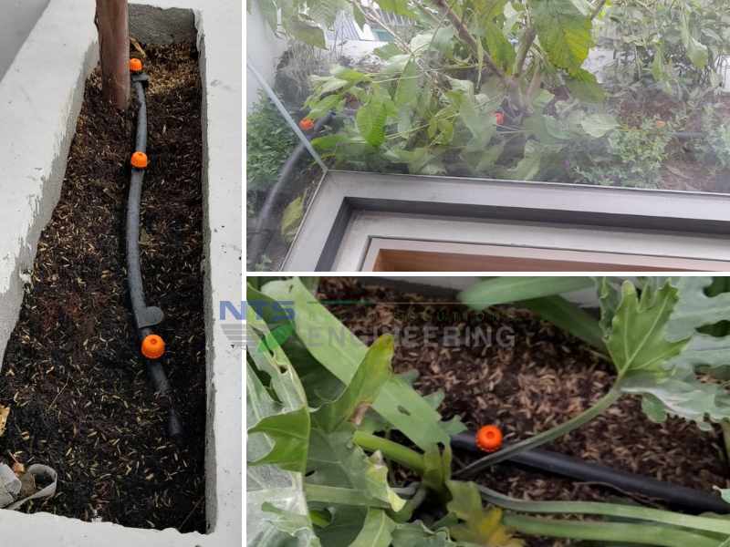Hệ thống tưới cây ban công ở Tân Bình