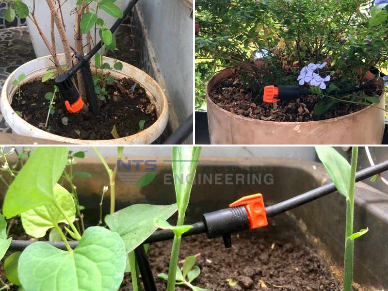 Các béc tưới đang được sử dụng cho hệ thống tưới cây ban công