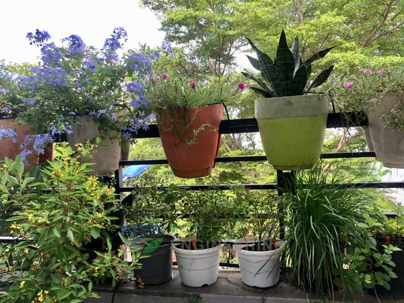 Tổng quan hệ thống tưới cây ban công ở Thủ Đức