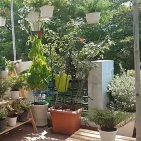 Những lưu ý cần biết khi lắp đặt hệ thống tưới cây tự động vườn mái cho người không chuyên