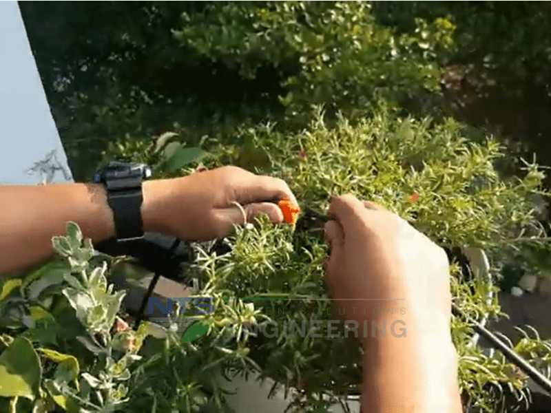 tự làm hệ thống tưới cây hay nhờ dịch vụ