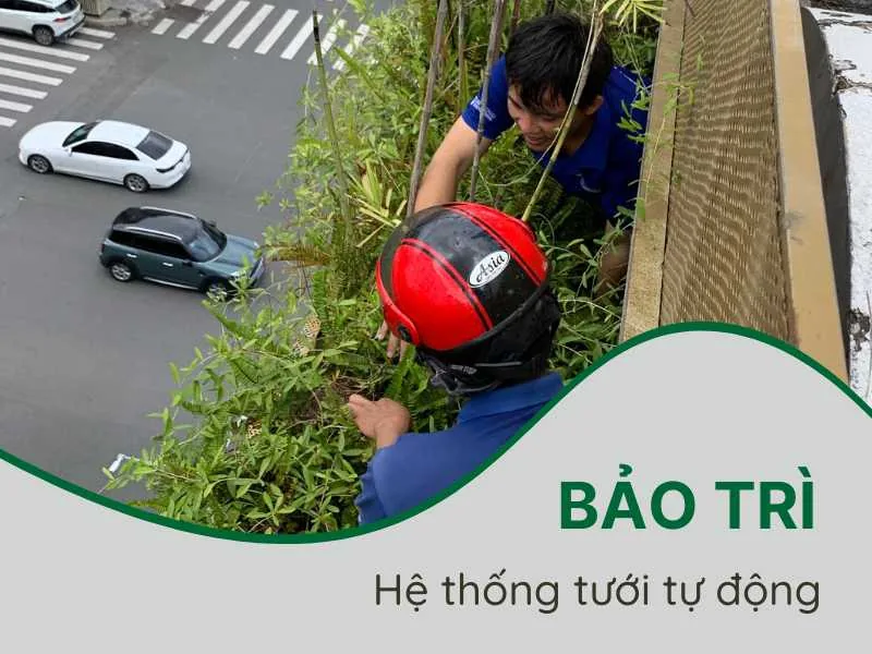 Bảo trì hệ thống tưới tự động tại quận 7, HCM