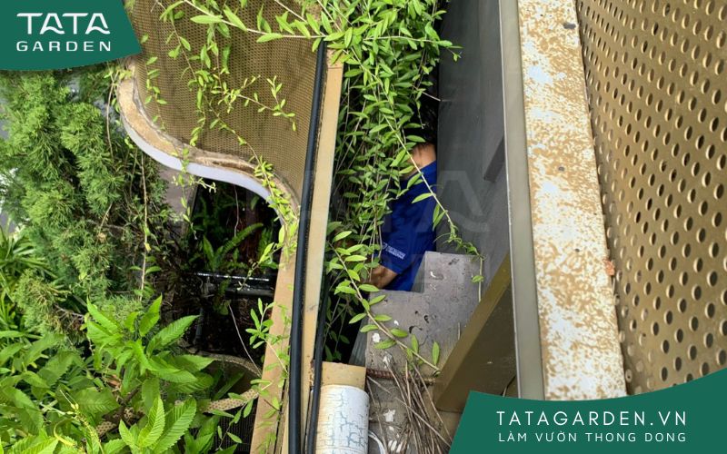 bao-tri-he-thong-tuoi-cay-tu-dong-1