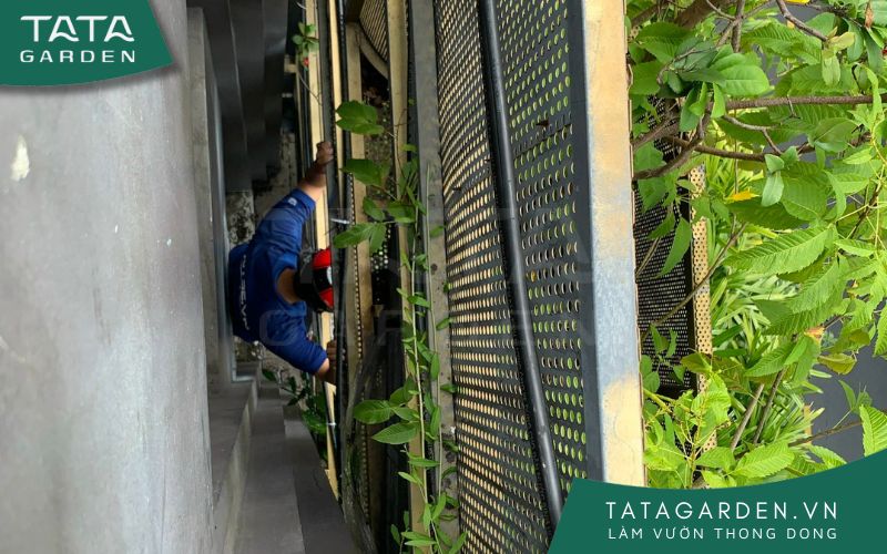 bao-tri-he-thong-tuoi-cay-tu-dong-2