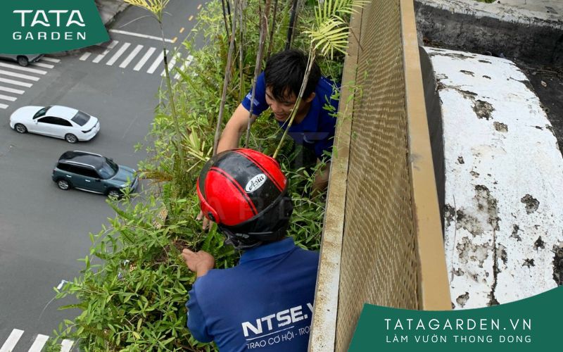 bao-tri-he-thong-tuoi-cay-tu-dong-3