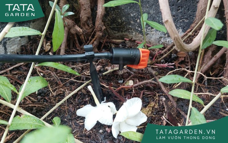 bao-tri-he-thong-tuoi-cay-tu-dong