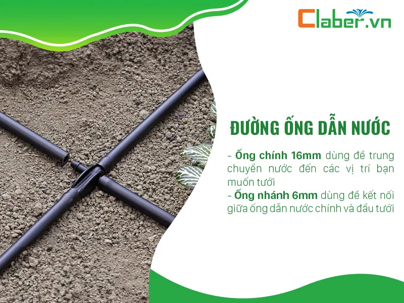 hệ thống tưới sân vườn