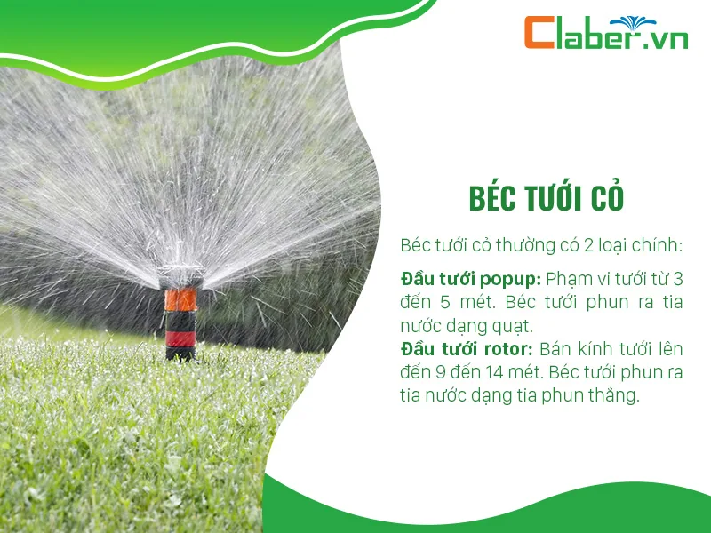 béc tưới cỏ cho tưới sân vườn