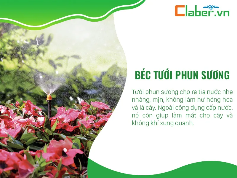 béc tưới phun sương cho sân vườn