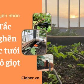 Top 5 sự cố gây nghẹt béc tưới nhỏ giọt