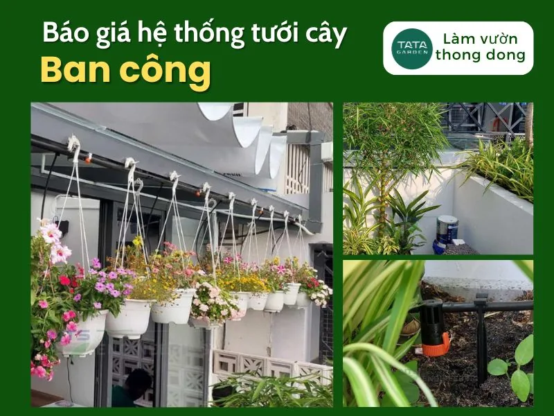 Báo giá hệ thống tưới nhỏ giọt tiêu chuẩn cho ban công nhà phố