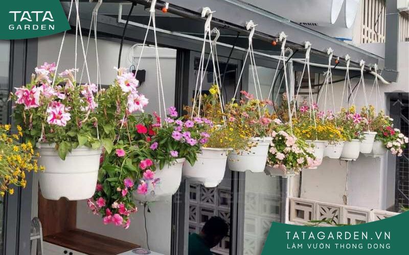 Lắp béc phun sương cho các chậu treo