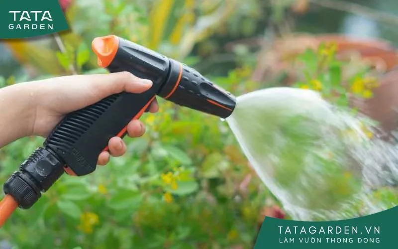 Sử dụng vòi xịt với chế độ tưới phun mưa