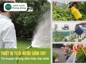 Tổng hợp thiết bị tưới nước cầm tay từ truyền thống đến hiện đại đầy sang chảnh