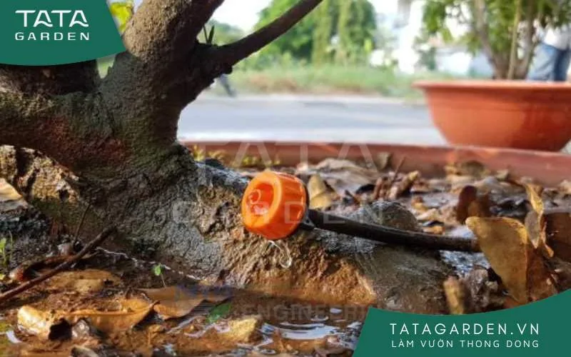 Béc tưới bù áp