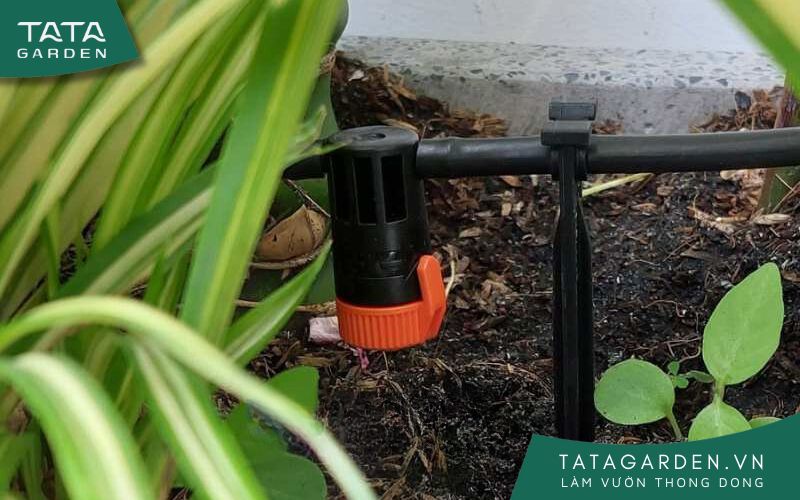 Lắp béc nhỏ giọt cho ban công nhà khách