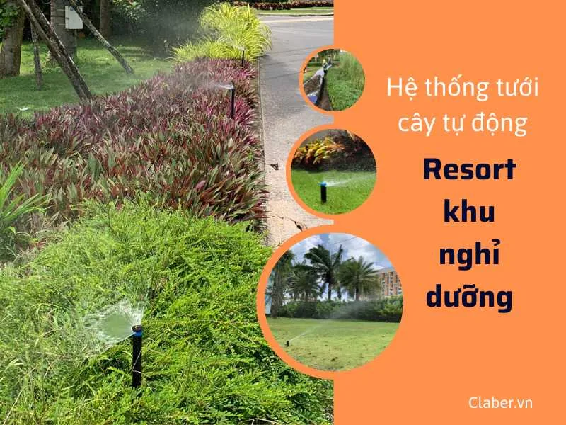 Thiếu hệ thống tưới cây tự động resort cao cấp – Nguyên nhân và giải pháp