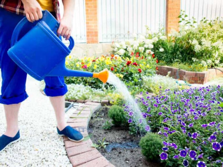 Hướng dẫn cách tưới nước cho cây trồng phát triển tốt nhất